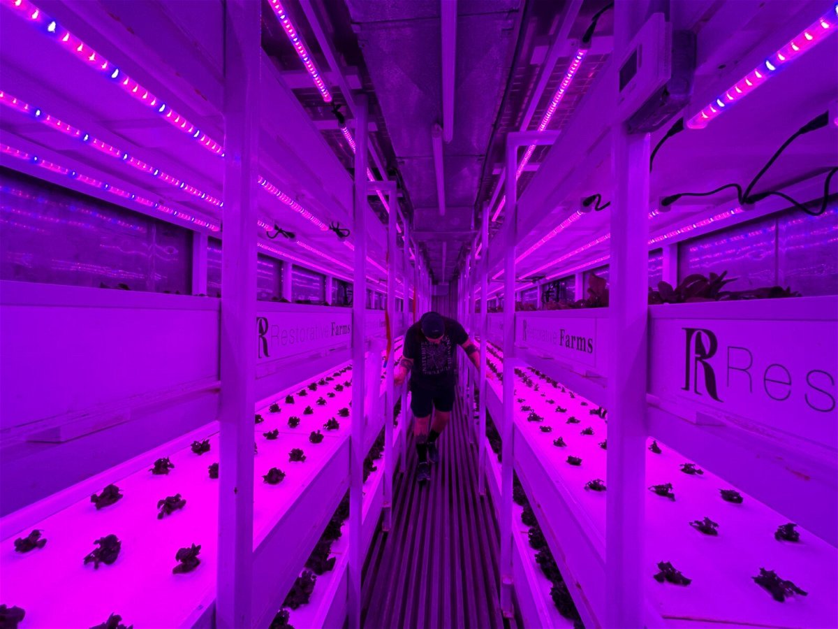 Grozilla, shipping container, hydroponic growers